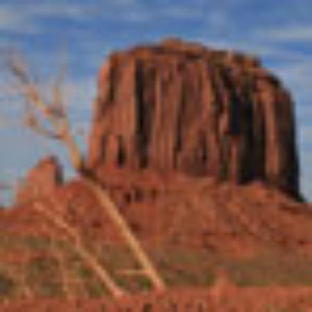 Niko's Bakery and Cafe